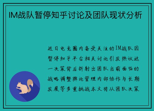 IM战队暂停知乎讨论及团队现状分析