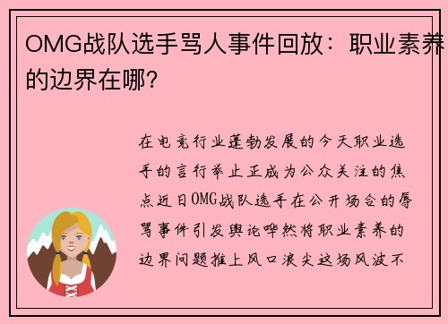 OMG战队选手骂人事件回放：职业素养的边界在哪？